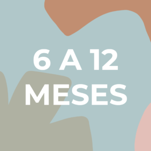 6 A 12 MESES